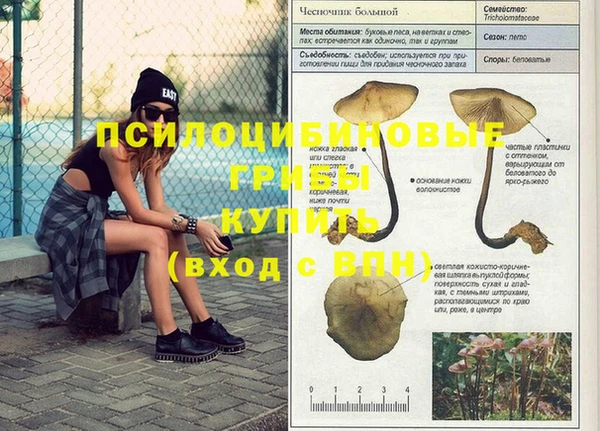 соль курить ск Алексеевка